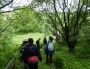 Lots of greenery today Lots of greenery today