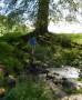 Dave and Maisie tackle a stream Dave and Maisie tackle a stream