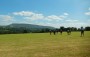 Back towards Pendle Back towards Pendle