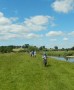 Ribble walking Ribble walking