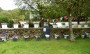 Barley WI display Barley WI display