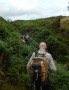 The ferns were high in places The ferns were high in places