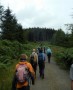 Approaching Grizedale Forest Approaching Grizedale Forest