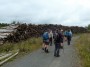 There's a lot of wood on that pile... There's a lot of wood on that pile...