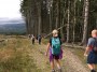 In Grizedale Forest In Grizedale Forest