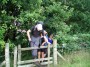 Up and over Up and over