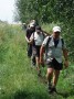 Norman leads the way Norman leads the way