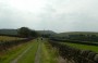 Stoodley Pike in the distance Stoodley Pike in the distance