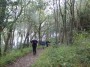 Through the woods to Silverdale Through the woods to Silverdale