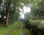Woodland track Woodland track