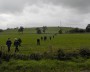 Across a field but lots of slurry on it! Across a field but lots of slurry on it!