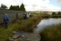 Moorland pond Moorland pond