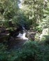 Waterfall in the Dell Waterfall in the Dell