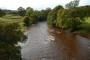 Ribble in spate Ribble in spate