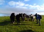 Horse whisperers Horse whisperers
