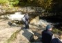 Looking for fishes Looking for fishes
