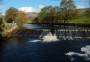 The question: What is the ladder on the left hand side of the weir for? The question: What is the ladder on the left hand side of the weir for?