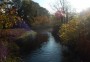 Autumn colours on a tributary Autumn colours on a tributary