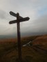 Which way now? Which way now?