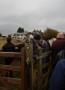 Queue for the kissing gate Queue for the kissing gate