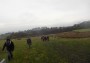 Across the fields back to Baxenden Across the fields back to Baxenden