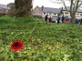  Rememberance; a Poppy surveys the scene
