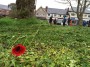 Rememberance; a Poppy surveys the scene Rememberance; a Poppy surveys the scene