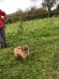 Poppy has a day out Poppy has a day out
