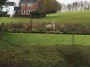 Llama welcome Llama welcome