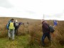Still climbing on the moor Still climbing on the moor