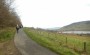 In the Grane Valley In the Grane Valley