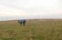 Still on the moor Still on the moor
