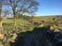 Out on the moor Out on the moor