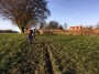 More fields More fields