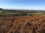 Moorland scenery Moorland scenery