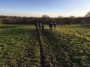 A lovely day for walking A lovely day for walking