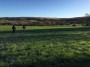 Frosty fields Frosty fields