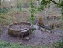 Lonely pit pony Lonely pit pony