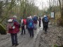 Into Phillips Park Into Phillips Park