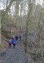 Into Sunnyhurst Woods Into Sunnyhurst Woods
