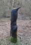 A Kingfisher watched us pass A Kingfisher watched us pass