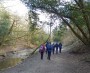 Off again in the woods Off again in the woods