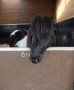 Billy was sooo cute! Billy was sooo cute!