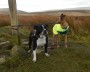 &nbsp;Alf and Maude on the moor