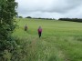 Through the fields Through the fields