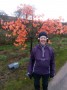 Alma at the tree Alma at the tree