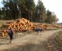 Logging at Entwistle Logging at Entwistle