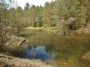 The old Quarry The old Quarry