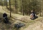 Forest Bathing Forest Bathing