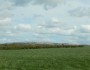 Winter Hill in the distance Winter Hill in the distance